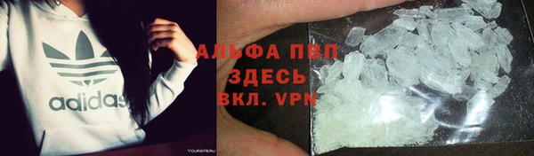 МДПВ Ветлуга