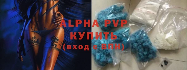 индика Видное