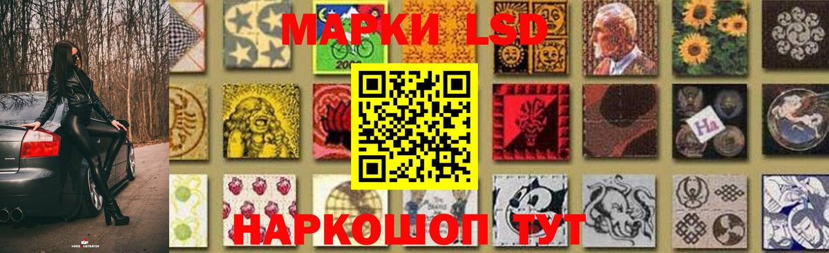 МЕФ Луга