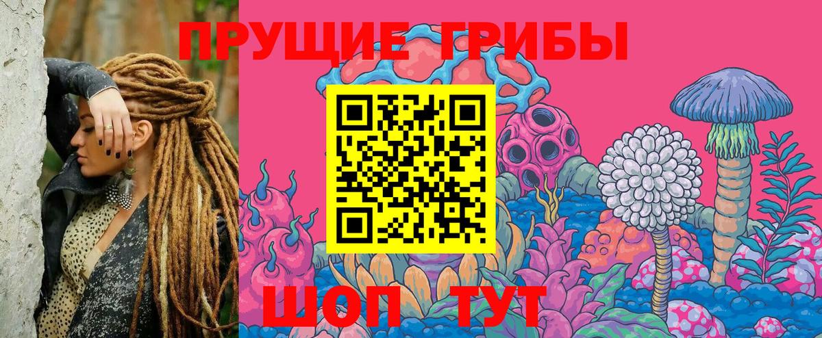 Псилоцибиновые грибы Psilocybine cubensis  дарнет шоп  Луга 